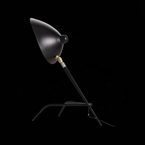 Настольная лампа ST Luce Spruzzo SL305.404.01