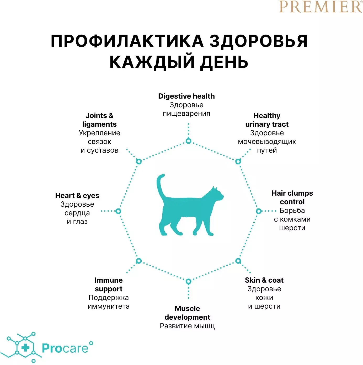 Сухой корм Premier индейка для взрослых кошек купить с доставкой в интернет- магазине зоогастроном.ру