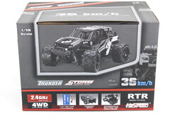 Радиоуправляемая машина Thunder Storm 4WD 1:18 - HS18312