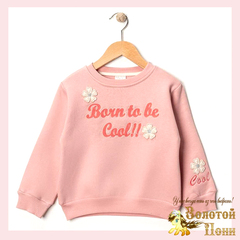 Свитшот начес д (3-6) 251105-R1061