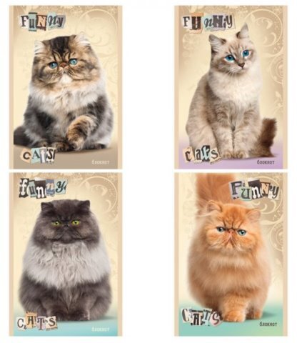 Блокнот А6 32л. ЗАБАВНЫЙ КОТИК (Б32-2742) на скрепке, цвет.мелов.обл, блок-офсет