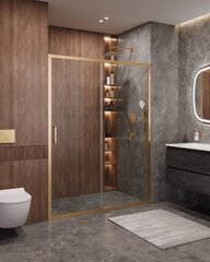 Cezares MOLVENO-BF-1-120-C-BORO-IV Душевая дверь фото