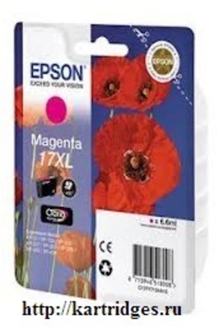 Картридж Epson C13T17134A10