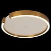 Потолочный светильник Loft It Ring 10026