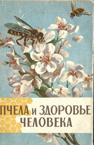 Пчела и здоровье человека