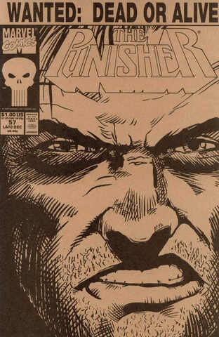 Punisher Vol 2 #56 (Variant Cover)