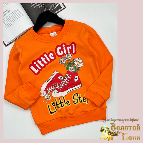 Свитшот хлопок д (6-9) 251128-SSD157