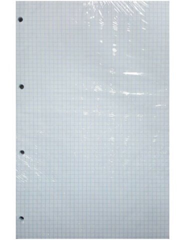 Сменный блок для тетрадей А4 48л клетка на кольцах, в инд. упак. БС48-2937