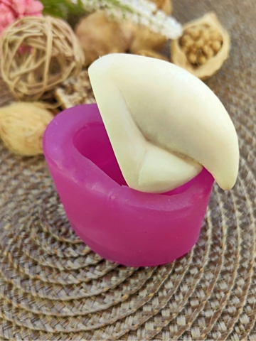 Вайнер клюв попугая 