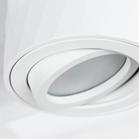 Накладной светильник Arte Lamp FANG A5559PL-1WH