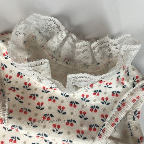 5558 BH Маечка для собак "Basic Tee Cherry - CREME"