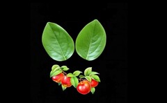 Силиконовый вайнер лист Яблони