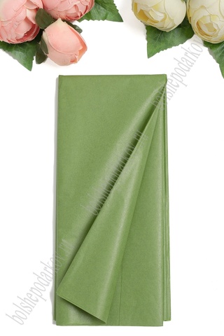 Упаковочная бумага, Тишью (50*66 см), фисташковый (384), 10 листов