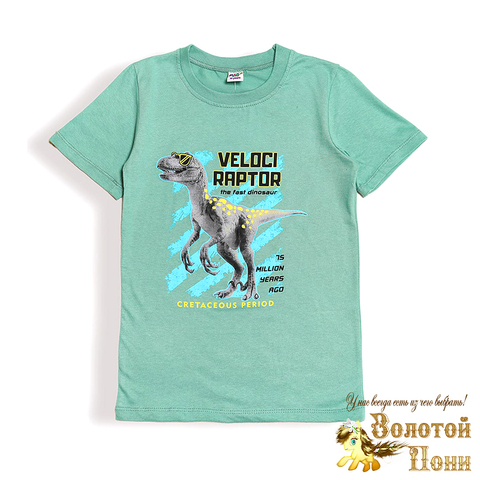 Футболка хлопок м (9-12) 250217-DK0003M.5