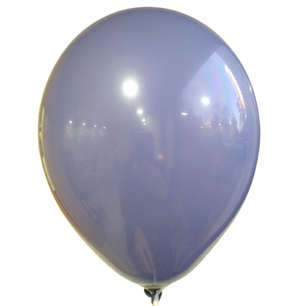 З 12''/30 см, Пастель Синяя дымка (S96), 50 шт.