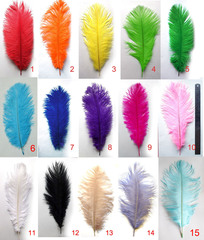 Перья страуса  декоративные  30-35 см. (цена за 1 шт.) (выбрать цвет)
