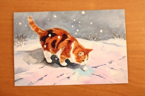 Котик на прогулке