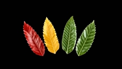 Силиконовый молд 