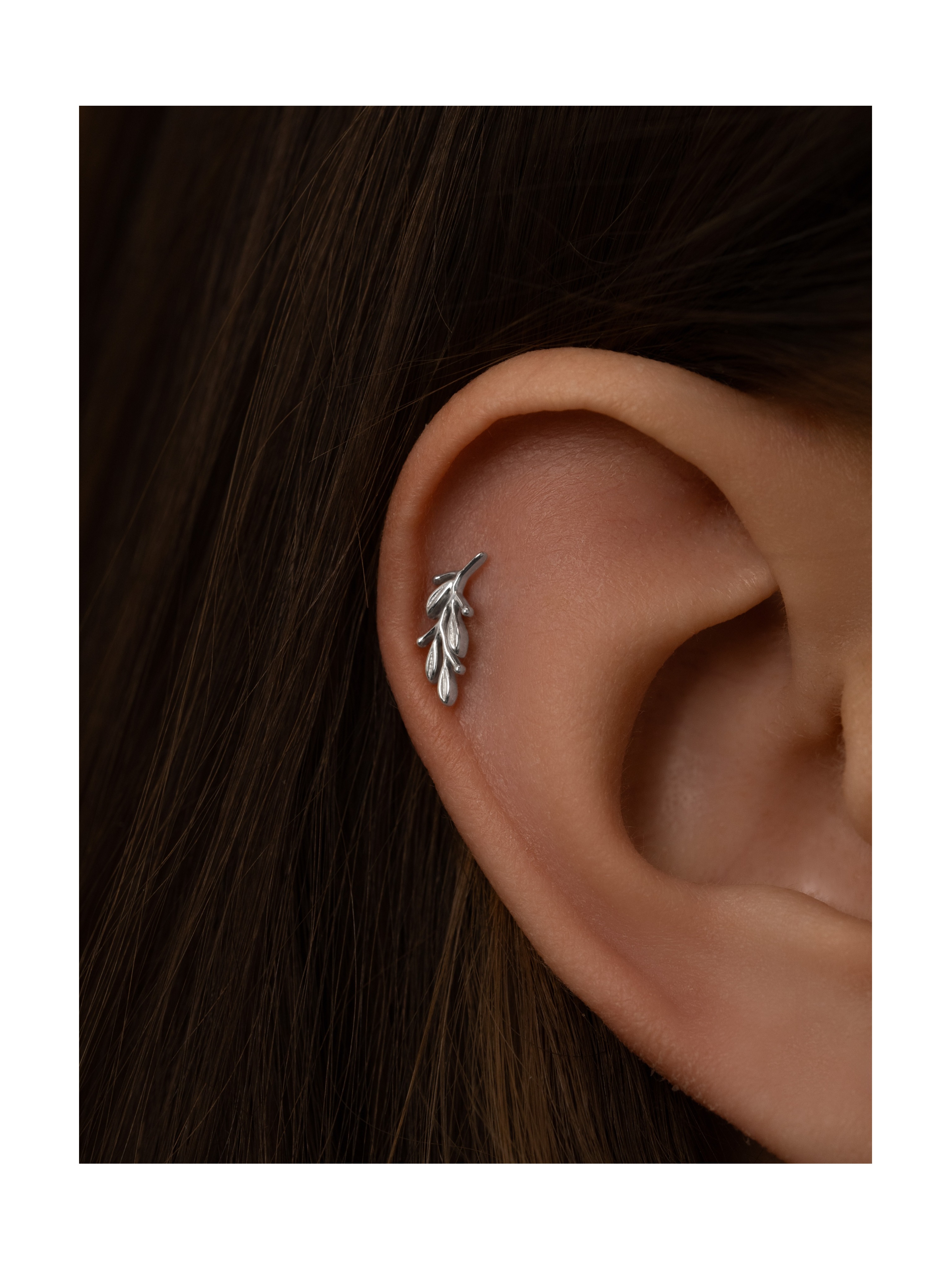 Пирсинг Ветвь