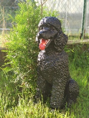 Собака Пудель (полистоун)