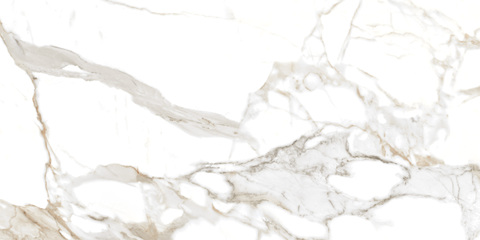 Kevis Statuario Venice Polished 60x120