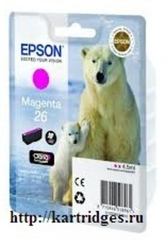 Картридж Epson C13T26134010