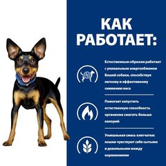 Hill's Metabolic Mini сухой корм для собак для коррекции веса 1 кг