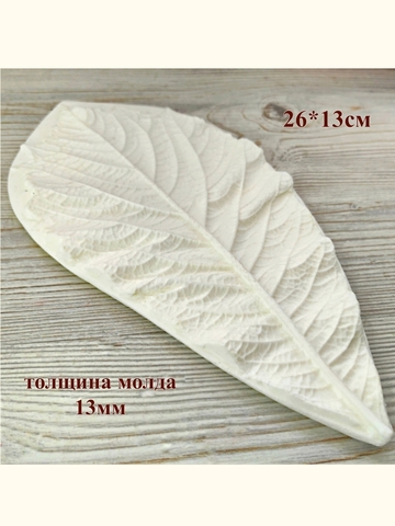 Молд лист 26х13см 