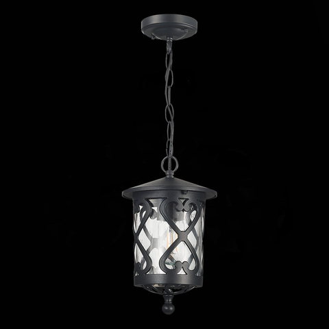 Светильник уличный подвесной ST Luce Lorne SL085.403.01