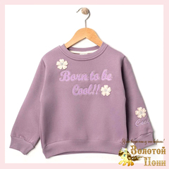 Свитшот начес д (3-6) 251105-R1061