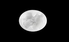 Силиконовый молд Божья коровка в цветах