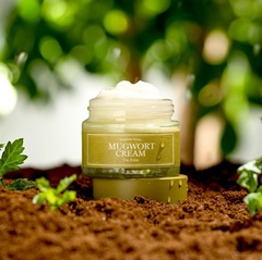 Крем с экстрактом полыни, 50 г / I'm From Mugwort Cream