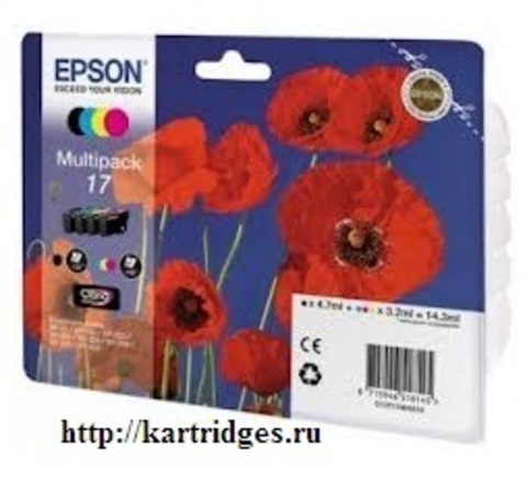 Картридж Epson C13T17064A10