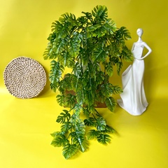 Зелень Монстеры ампельной, свисающая зелень, евро пластик, 72 см, набор 2 шт.