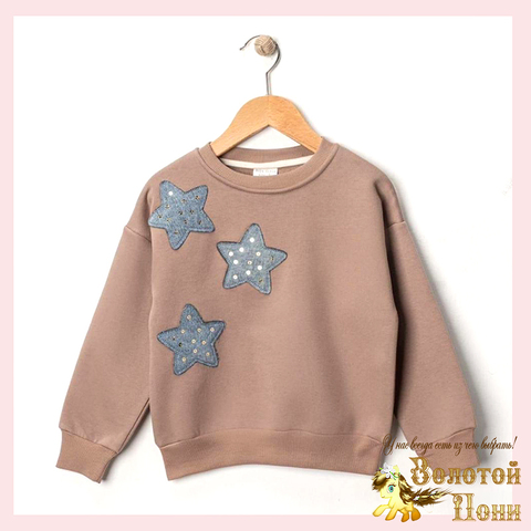 Свитшот начес д (3-6) 251105-R1058