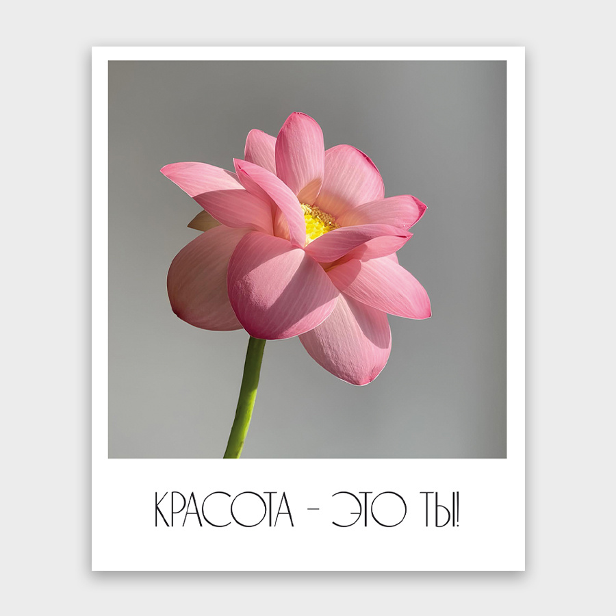 Фото-карточка 