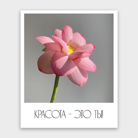 Фото-карточка 