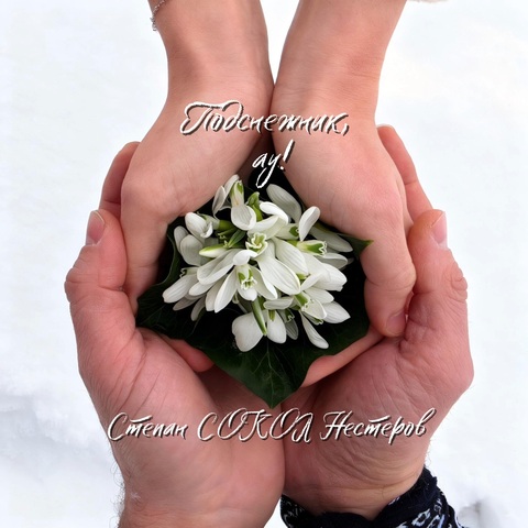 Степан СОКОЛ Нестеров – Подснежник, ау! (Digital) (2026)