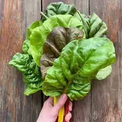 Салат мангольд "О, Батат", 100 г