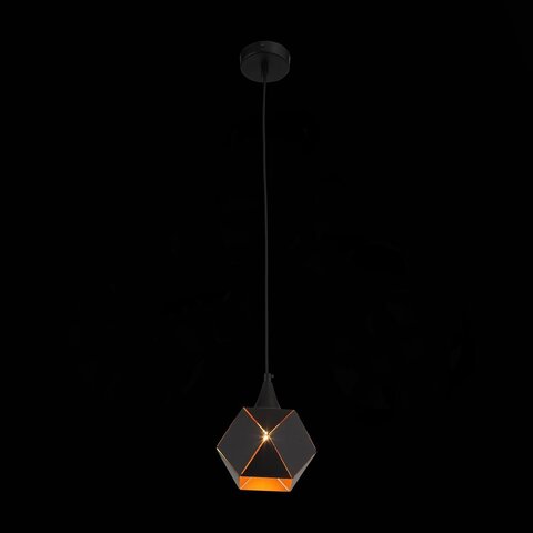 Светильник подвесной ST Luce Enigma SL258.403.01