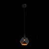 Светильник подвесной ST Luce Enigma SL258.403.01