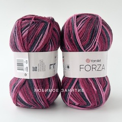 YarnArt Forza 2508