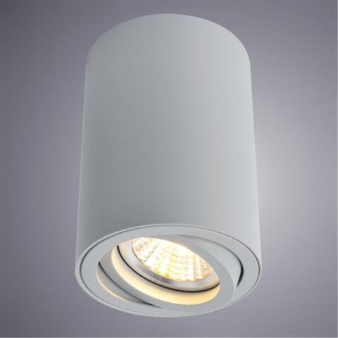 Накладной светильник Arte Lamp SENTRY A1560PL-1GY