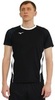 Футболка Mizuno Premium High Kyu Tee мужская