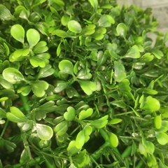 Шар Зелень Самшит Диаметр 35см