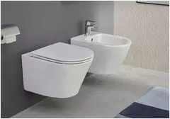 Унитаз подвесной, безободковый, белый Jacob Delafon Rodin EDY102-00 с сиденьем