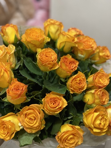 Orange Roses