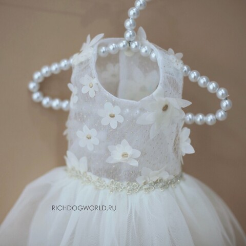 5560 BH Платье нарядное "Watermelon Pants"