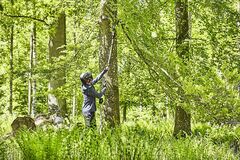 Высоторез-cучкорез Greenworks GD60PST25 60V (25 см) аккумуляторный, без АКБ и ЗУ