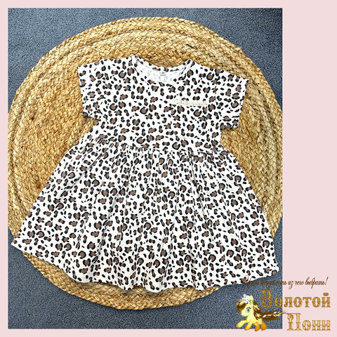 Платье хл/трикотаж д (2-6) 260123-WQ274